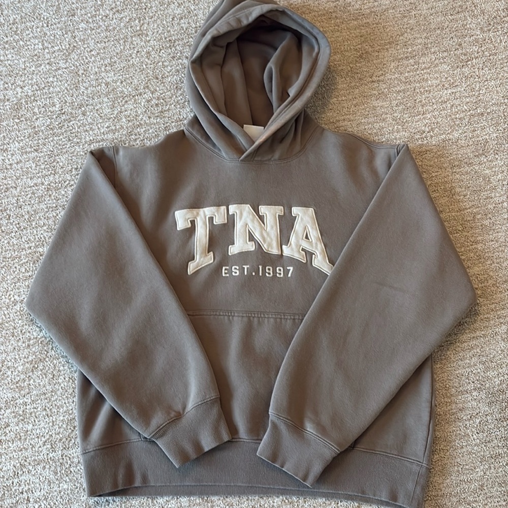 Aritzia TNA Sweatfleece Cozy Fleece Perfect Fit Hoodie